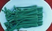 天然野生蕨菜