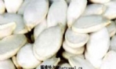 宝清大白板南瓜籽