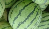 板子房西瓜