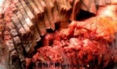 五香酱驴肉