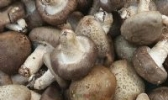 东北香菇精品压缩块