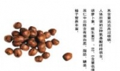 毛榛子