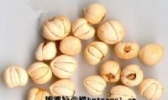 铁力平贝母