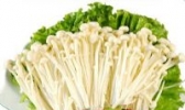 伊春金针菇