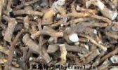 穿山龙