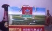 杜蒙手撕风干牛肉