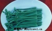 镜泊湖山蕨菜