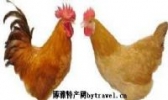 浦东三黄鸡