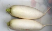 如皋白圆萝卜