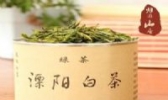 溧阳白茶