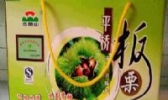 天目湖板栗