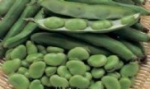 灶蚕豆
