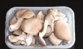 洪泽平菇