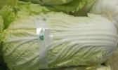 盱眙大白菜