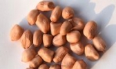 西顺河红衣小花生