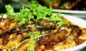 昂刺鱼烧豆腐