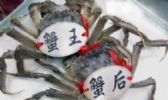 洪泽湖特色水产