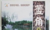 骆马湖菱角米