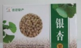骆马湖银杏果