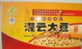 灌云大豆