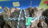 扬中江蟹