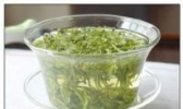 老山云雾茶