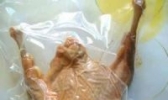 馋神风鹅
