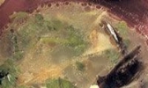 东山塘鳢鱼