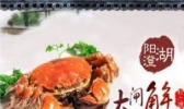 阳澄湖大闸蟹
