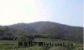 德清茶叶