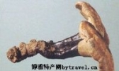高山灵芝片