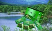开化杜仲茶