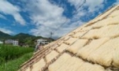 粉干