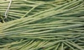 高山蔬菜