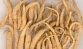 磐安玄参