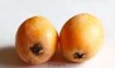 穆坞枇杷