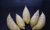 小忠龙藏冬笋