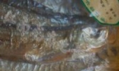 大白岸鱼干