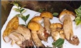 美味牛肝菌干片