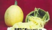 文成薯粉丝