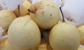 二源乡雪梨