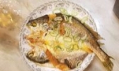 大陈黄鱼