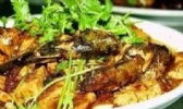 鱼烧豆腐