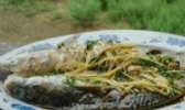 清蒸鲻鱼
