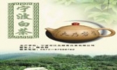 宁波白茶