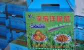 李家洋榨菜