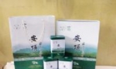 安顶云雾茶