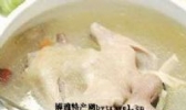 炖鸽
