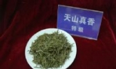 天山真香茶