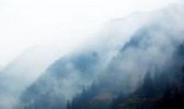 璜尖高山茶